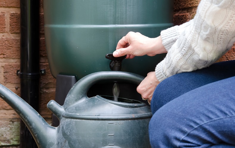 person filling up a watering can with collected rainwater from a water butt