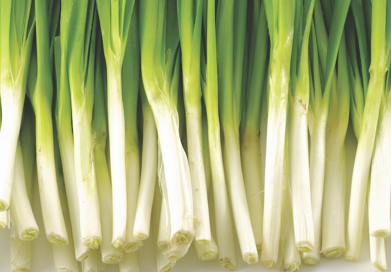 Group of spring onions