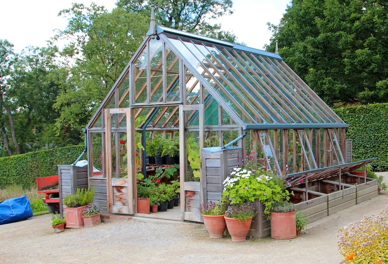 Apex greenhouse with pots outdoors