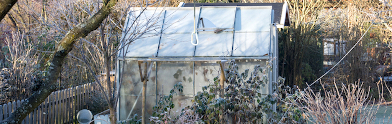 winter in the garden with frost-covered greenhouse