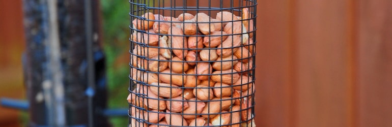 Nature's Market Wild Bird Nut Feeder from T&M