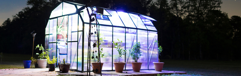 illuminated greenhouse with lights on at night
