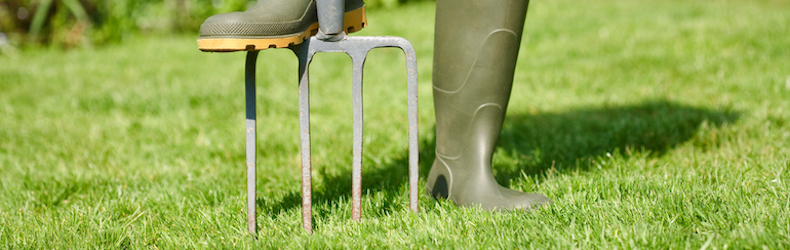 foot in wellyboots aerating lawn with garden fork
