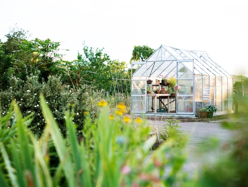 greenhouse surrounded by hedging