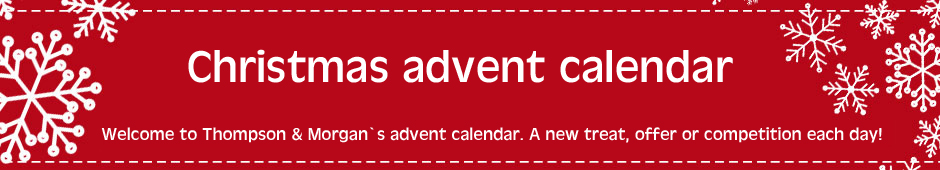 Thompson & Morgan Advent Calendar