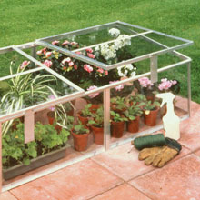 keep your tender perennials in a cold frame