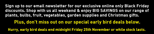 Don't miss out on our early bird deals below