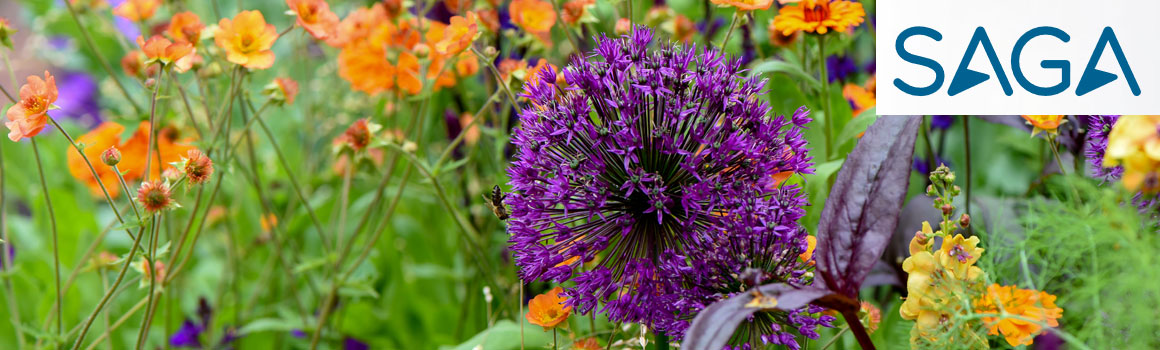 Thompson & Morgan in association with Saga Gardening