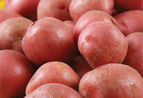 Maincrop Potatoes
