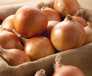 onion fertiliser