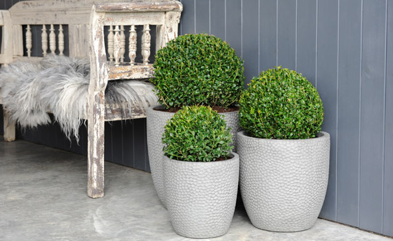 Orford Planters