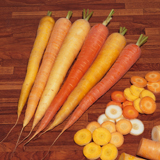 Carrot Rainbow