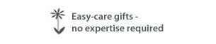 Easy care gifts