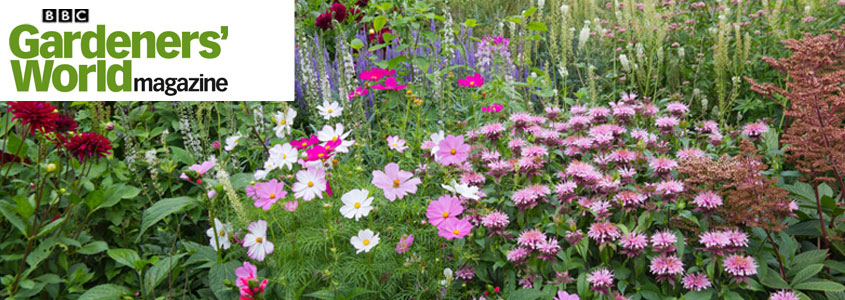 Gardeners World Offers