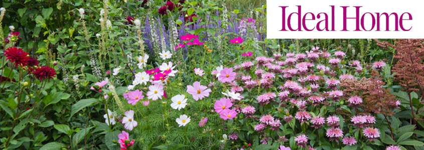 Ideal Home Special Offers