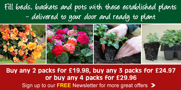 Garden ready offer