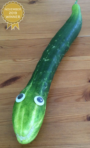 Cheeky Cucumber