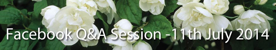 Facebook Q&A Session 11th July 2014