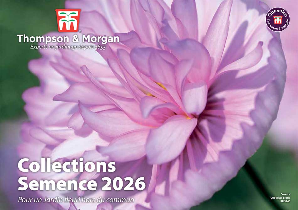 TM French Sales Brochure 2026