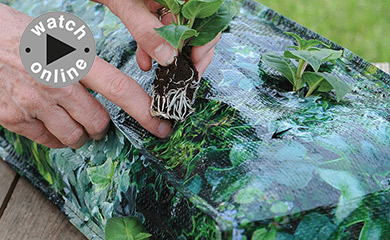 How to Plant Up a Flower Pouch®