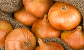 How To Grow Onions and Shallots