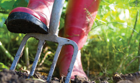 How To Improve your Garden Soil