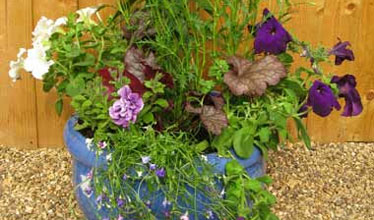 True Blue Patio Container Design