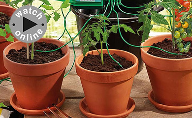 How to Setup an Automated Drip Irrigation System
