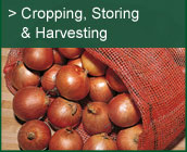 Cropping, Storing & Harvesting