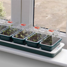heated propagator