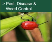Pest, disease & Weed Control