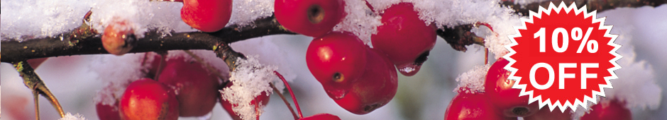 Gardeners' World Offer - 10% off Gardeners' World Offer - 10% off