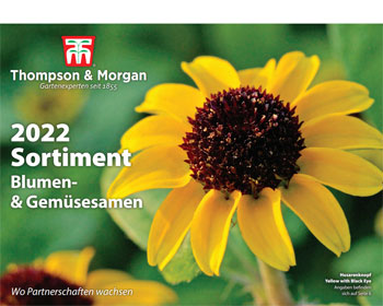 TM German Sales Brochure 2022