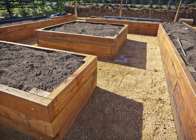 constructing wooden raised beds