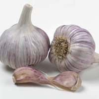 Thompson-morgan (garlic)