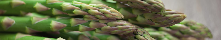 Planting and growing asparagus