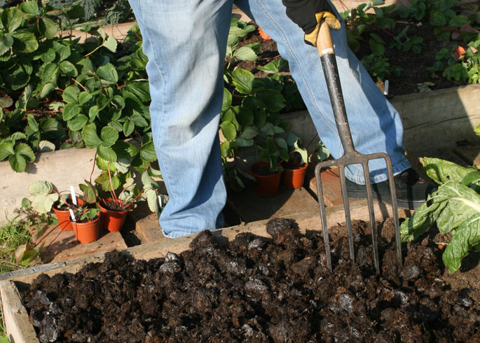 Add manure to raised beds