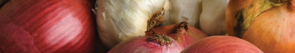 Check your stored vegetables regularly