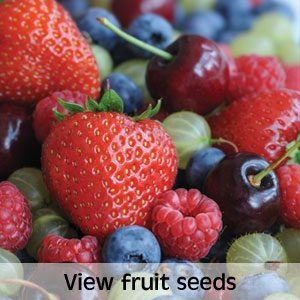 View fruit seeds