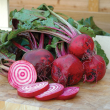 Beetroot Chioggia