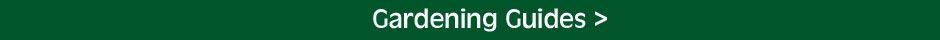 Read our gardening guides