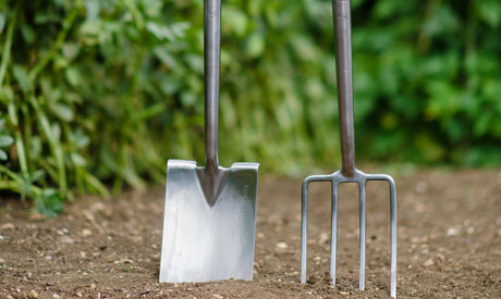 How to improve your soil
