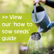 Seed sowing guide