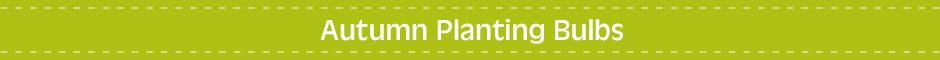 autumn planting bulbs banner