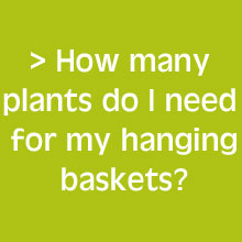 How Many Hanging Basket Plants Do I Need?