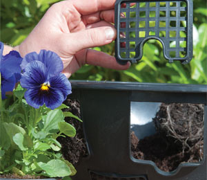 easy fill hanging basket