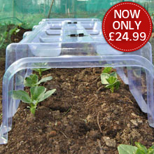 Mini Greenhouse Cloche