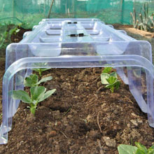 Mini Greenhouse Cloche