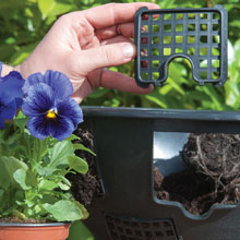 Easy Fill Hanging Basket