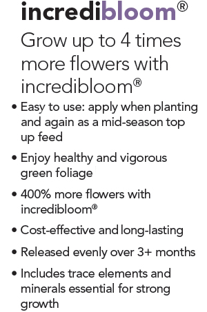 incredibloom